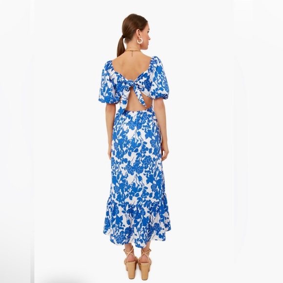 Tuckernuck Dresses Hyacinth House Blue Floral Seaport Midi Dress